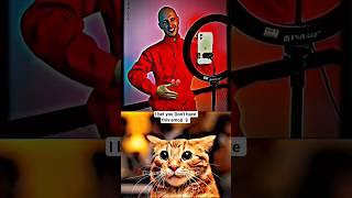 DAY-1 DEAD INTERNET THEORY  #cat #memes #funny