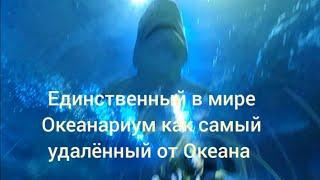 Астана Барыс Арена + Океанариум + Акулы Пираньи Тунцы Коргалжинское Шоссе