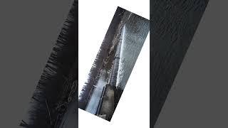 Panoramic Photography with Shift Adapters #photography #panorama