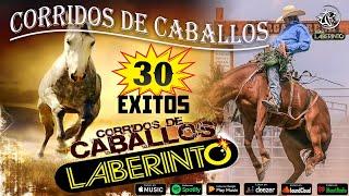 Laberinto Exitos - Las Mejores Canciones De Laberinto - Laberinto Mix - Laberinto 2024