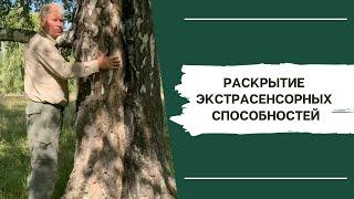 Практика "Раскрытие экстрасенсорных способностей"