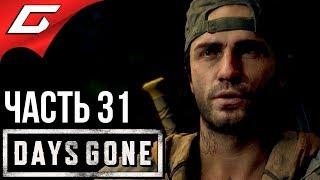 DAYS GONE (Жизнь После)  Прохождение #31  ПЕРВАЯ ОРДА