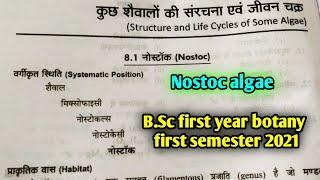 Nostoc Algae || B.Sc first year botany 1st semester Microbiology and plant pathology