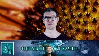 Making Perfume | Talking Formulas
