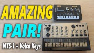 NTS-1 WITH VOLCA KEYS SOUNDS MASSIVE!