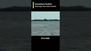 Connect to the Mississippi