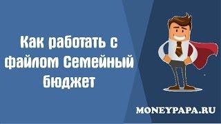 MoneyPapa: Как работать с эксель файлом Семейный Бюджет