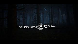 The Dark Forest UE4 & Quixel Meg