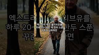 올리브유의 효능
