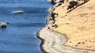 San Luis Reservoir Wildlife Area @londolozigamereserve @sanluisoficial ​⁠