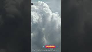 Insight The Flight #shorts #airplane #youtubeshorts | Beautiful View 4K |  NATURE RELAXATION MOVIES