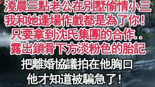 淩晨三點老公在別墅外偷情小三，我和她逢場作戲都是為了你！只要拿到沈氏集團的合作..露出鎖骨下方淡粉色的胎記，把離婚協議拍在他胸口，他才知道被騙急了！【顧亞男】【高光女主】【爽文】【情感】