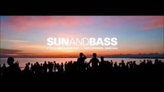 Klute B2B Dom & Roland @ Sun and Bass 2015