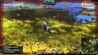 Warrior WvW Axe/GS 16k- 20k+ Crits.