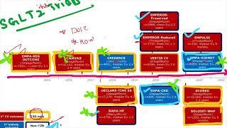 SGLT2 Inhibitor trials - SUMMARY