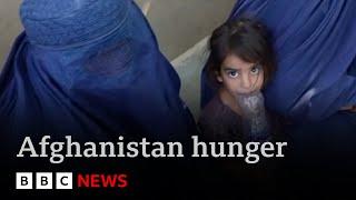 Inside Afghanistan: millions of children suffering extreme malnutrition  | BBC News