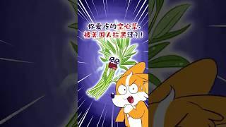 你爱吃的空心菜，曾经是美国人的噩梦？#shorts #空心菜 #我是小魔