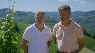 Macchina agricola per sfalcio meccanico del vigneto biologico - Intervista produttori