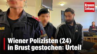 Wiener Polizisten (24) in Brust gestochen: Urteil ist da | krone.tv NEWS