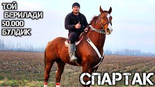 ФАЗЛИДДИН АКАДАН 50.000 ОБУНАЧИГА БИР ТОЙ ПАДАРКА БУГУНГА СПАРТАК ТОЙ СОТИЛАДИ  !..