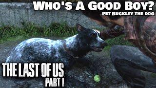 The Last of Us 1 Remake - Who's A Good Boy? Trophy Guide