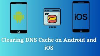 Clearing DNS Cache on Android and iOS - Step-by-Step Guide