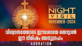 Night Vigil -05 | വിശ്വാസത്തോടെ ഈശോയേ തൊട്ടാൽ ഈ നിമിഷം അനുഗ്രഹം | ADORATION NOV 2024 | ShalomTV