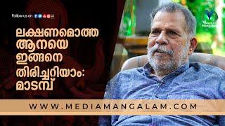 ലക്ഷണമൊത്ത ആനയെ ഇങ്ങനെ തിരിച്ചറിയാം: മാടമ്പ് | Madambu Kunjukuttan