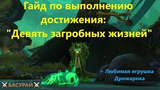 Девять загробных жизней ВоВ  Достижения WoW Shadowlands ( Гайд от Басурая ) | RaidLine