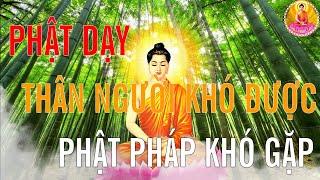 Lời Phật Dạy Thân Người Khó Được Phật Pháp Khó Gặp Nghe Để Tìm Đến Con Đường Giác Ngộ -Phật Pháp Tâm