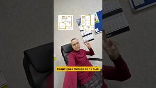 Квартира в Питере за 12 тыс. в месяц, а если евротрешка, то 24 тыс.⠀Подробности в описании