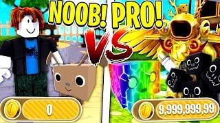 Roblox NOOB VS PRO: PET SIMULATOR in ROBLOX!