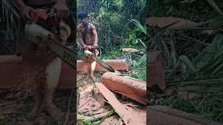 Amazing skills / cutting style #45