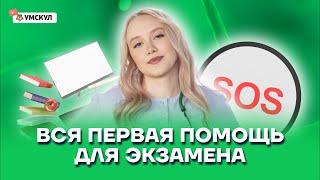 Вся первая помощь для экзамена | Биология ОГЭ 2022 | Умскул