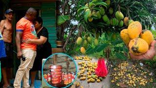 ¡Así resolvimos el almuerzo solo con mangos!