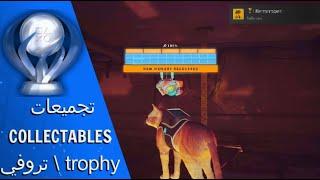 لعبه ستراي : جميع تجميعات الذاكرة + البادج  //  STRAY ALL COLLECTABLES MEMORIES +  BADGES