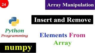 Array Manipulation | Insert and Delete Function | NumPy Tutorials | Python Programming