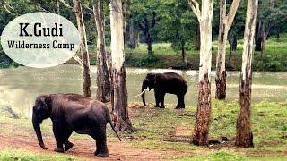 K.Gudi Wilderness Camp - Jungle Lodges and Resorts| B R Tiger Reserve | India Ghoomo