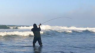 Dad and Son's Summer Surf Perch Fishing for FATHER'S DAY
