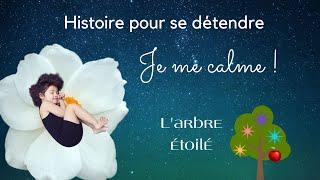 Histoire pour retour au CALME - RELAXATION pour enfant - L'arbre étoilé 