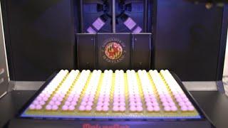 UMD MakerBot Innovation Center: Fostering Entrepreneurship