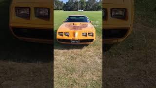 Pontiac Trans-am Firebird V8                                      #automobile #gmh #pontiac #v8