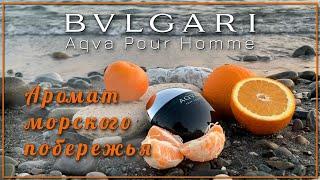 Обзор аромата Bvlgari Aqva Pour Homme