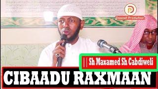 CIBAADU RAXMAAN  MUXAADARO QIIMO BADAN 2019  || Sh Maxamed Sh Cabdiweli