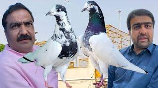 Raja Sain Malan Katiyar Hyderabad ki chat se pigeons