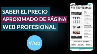 Cómo Saber el Precio o Costo Aproximado de una Página Web Profesional