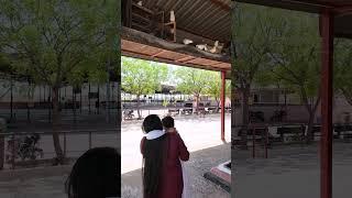 પપ્પાનું પૂછડું  | Children Funny Video #ytshorts #fun #childfunny  #childfun   #littlefun
