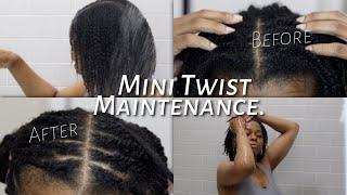 MINI TWIST Weekly & Monthly Wash Day Routine + Retwist | Type 4 Natural Hair Length Retention