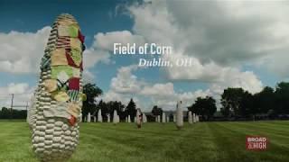 Web Exclusive: Drone Footage of Yarn-Bombing in Dublin, Ohio