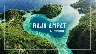 Raja Ampat & Misool - Diary of a paradise found